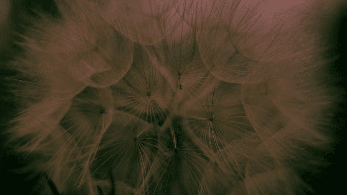 快速入门 快速入门